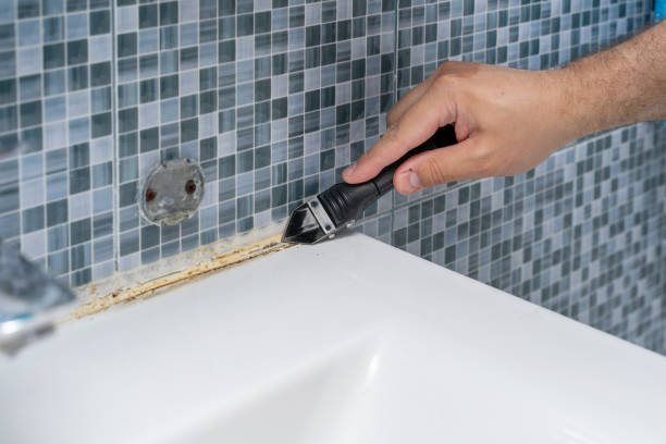 Best Commercial Mold Removal  in Kemp, TX