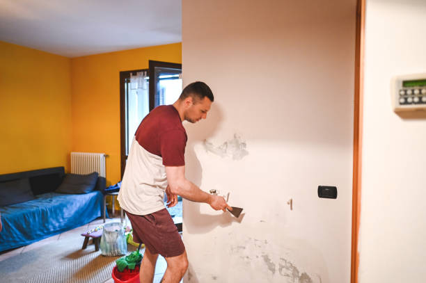 Best Black Mold Removal  in Kemp, TX